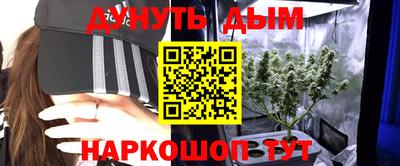 дмт Кинель