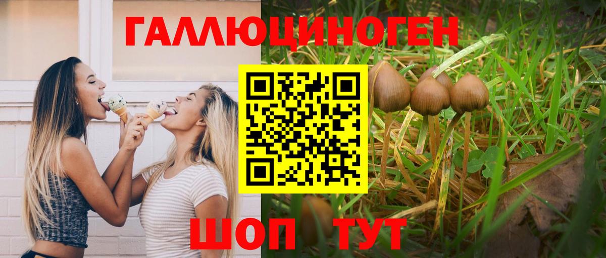 Псилоцибиновые грибы Psilocybe  Вход с VPN  Костомукша 
