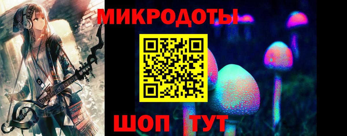 Псилоцибиновые грибы MAGIC MUSHROOMS Костомукша